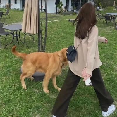 搭便车的人